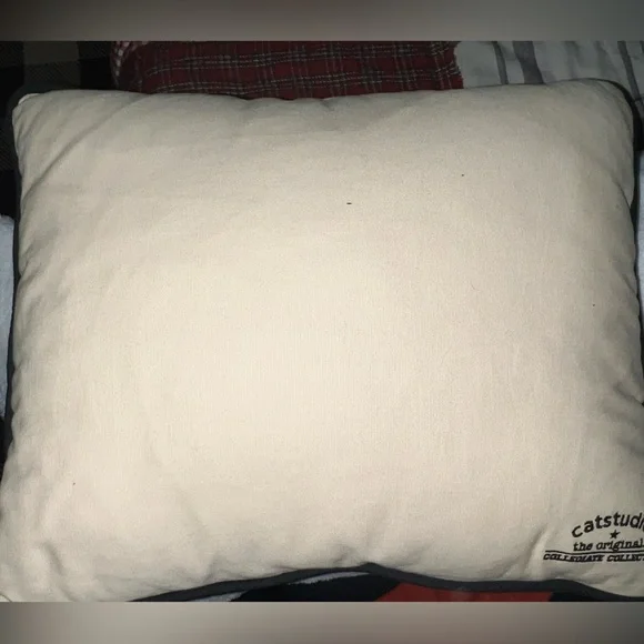 Cat Studio New York University (NYU) pillow. Pillows